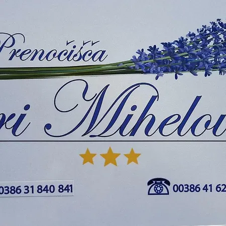 Pri Mihelovih 3* Sežana